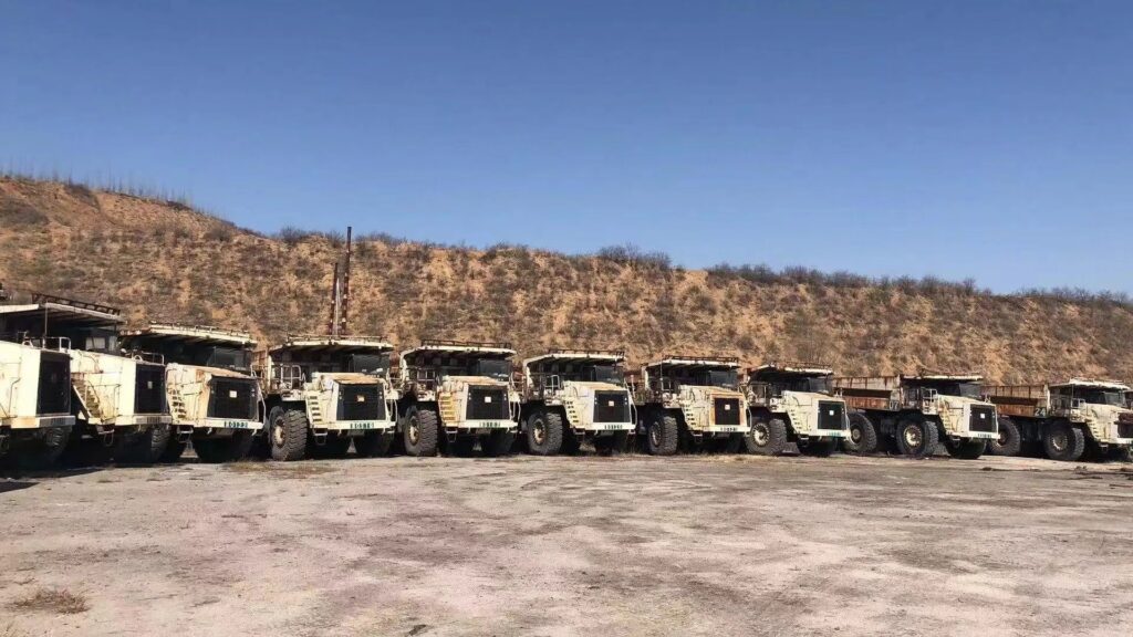 7029701856217664771-0